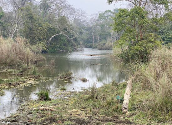 nepal/chitwan/attraction/chitwan-wildlife-tours