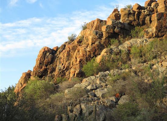 south-africa/route-62/attraction/gamkaberg-nature-reserve