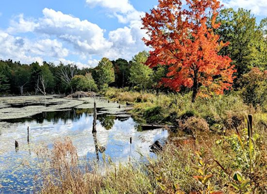 massachusetts/wachusett-mountain-ski-area/attraction/mass-audubon-s-wachusett-meadow-wildlife-sanctuary