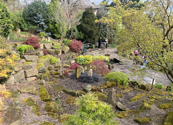 united-kingdom/sheffield/endcliffe-park/attraction/rock-garden