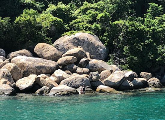 mexico/costa-chica/attraction/playa-puerto-marques