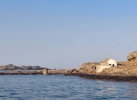 namibia/luderitz/attraction/penguin-catamaran-tours