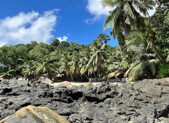 seychelles/mahe-island/attraction/tusculum-beach