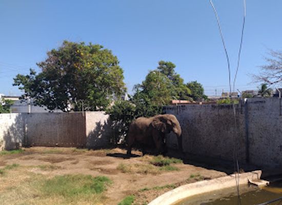 colombia/barranquilla/attraction/zoologico-de-barranquilla