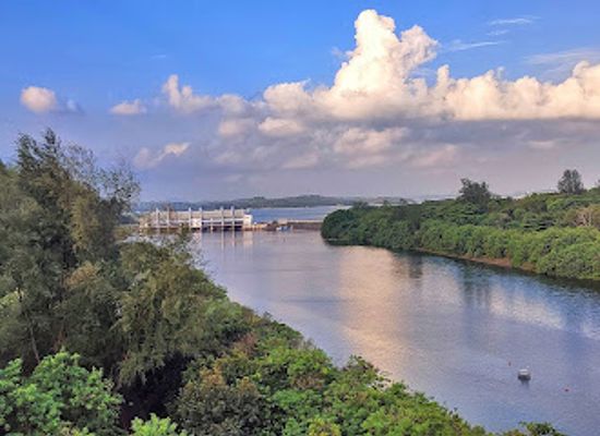 singapore/coney-island/attraction/serangoon-east-dam