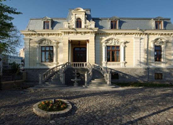 romania/tulcea/attraction/the-avramide-collections-house