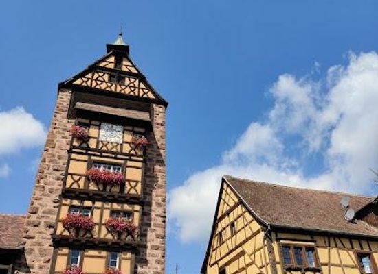 france/alsace-wine-route/attraction/musee-du-dolder