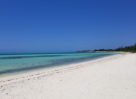 the-bahamas/ragged-island/attraction/garden-of-the-groves