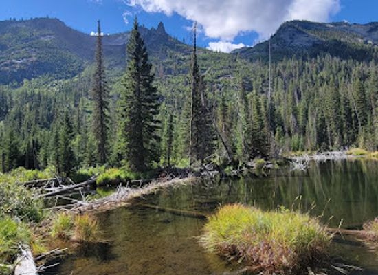 montana/bitterroot-national-forest/attraction/canyon-creek-trailhead