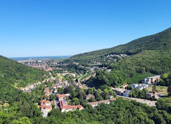germany/palatinate/attraction/am-wolfsberg
