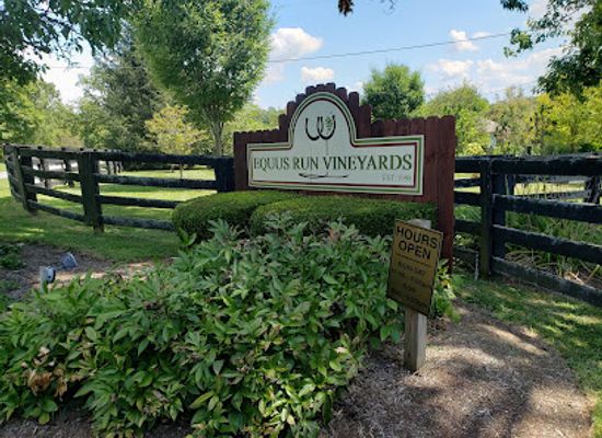 kentucky/outer-bluegrass/attraction/equus-run-vineyards