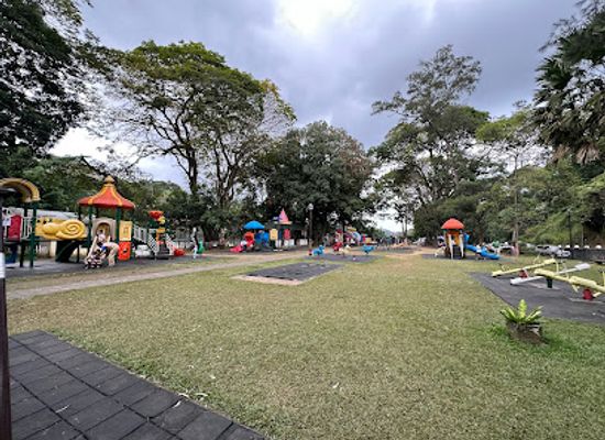 sri-lanka/kandy/attraction/e-l-senanayake-children-s-park