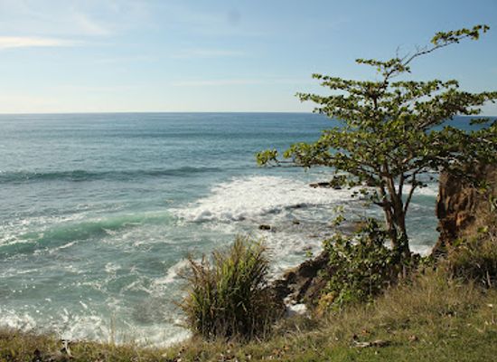 puerto-rico/rincon/attraction/playa-corcega-recreational-area