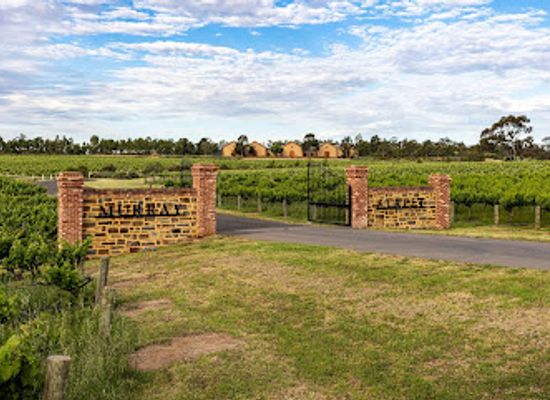 australia/barossa-valley/attraction/murray-street-vineyards