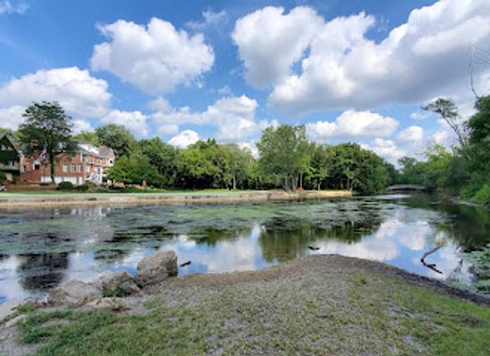 illinois/naperville/attraction/pioneer-park