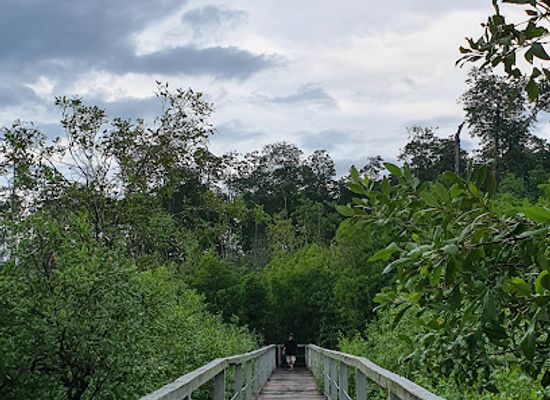 malaysia/peninsular-malaysia/attraction/tanjung-piai-southern-tip-of-mainland-eurasia