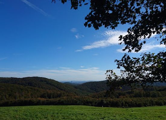austria/vienna-woods/attraction/bunte-schaukeln