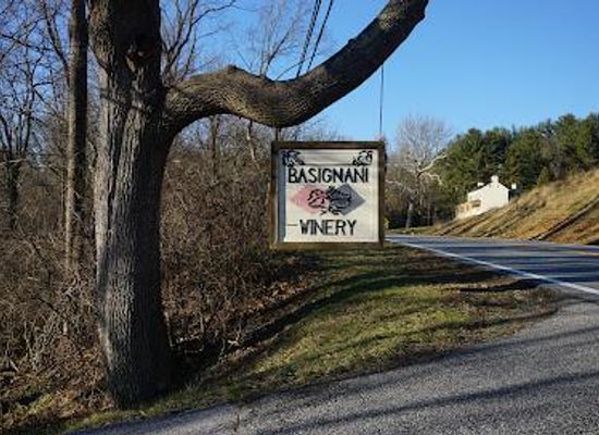 maryland/central-maryland/attraction/basignani-winery