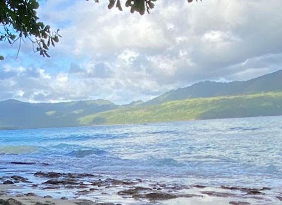 dominican-republic/samana/attraction/playa-caleton