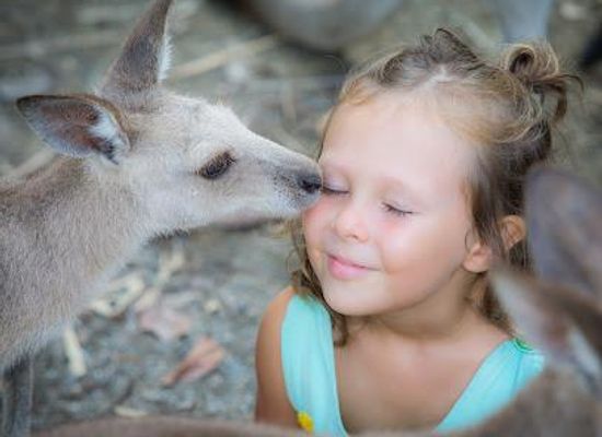 australia/port-douglas/attraction/wildlife-habitat