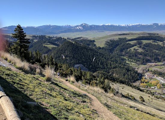 montana/bozeman/attraction/college-m