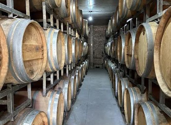 argentina/mendoza/attraction/bodega-carinae