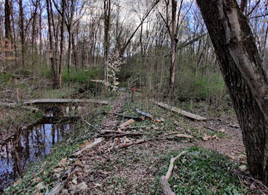 new-jersey/great-swamp-national-wildlife-refuge/attraction/great-swamp-watershed-association-conservation-management-area