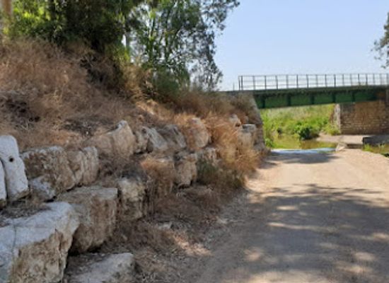 israel/hadera/attraction/bitsat-zeita-reserve
