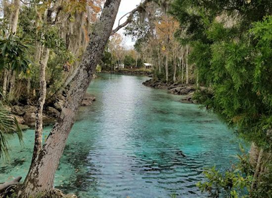 florida/crystal-river/attraction/discover-crystal-river-visitors-center