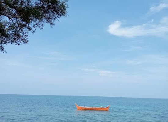 philippines/siquijor/attraction/salak-on-beach