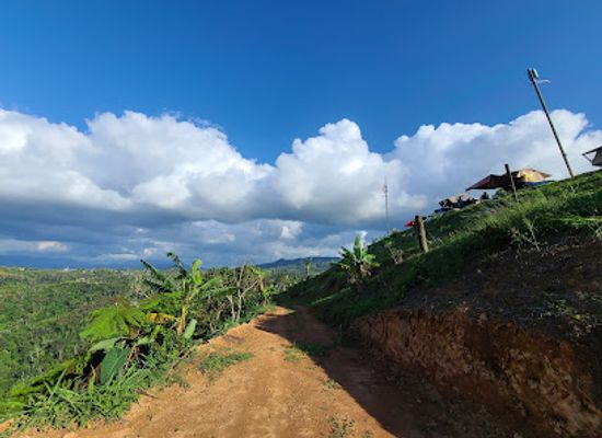 puerto-rico/puerto-rican-cordillera/attraction/hacienda-don-pancho