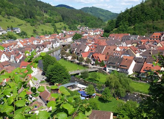 germany/black-forest/attraction/museum-in-the-castle-wolfach