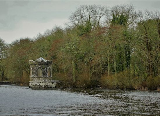 ireland/county-roscommon/attraction/zipit-forest-adventures