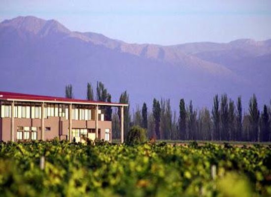 argentina/cuyo/attraction/bodega-zolo