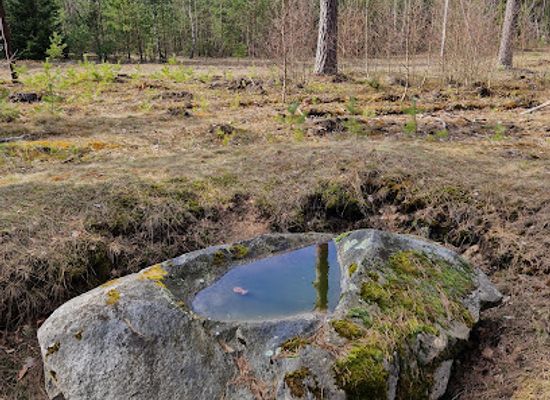 lithuania/dzukija-national-park/attraction/laumes-sulinio-akmuo