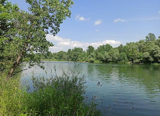 slovenia/drava/attraction/drava-cirkovecka