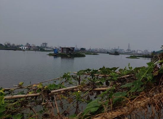 bangladesh/madhupur-tract/attraction/bill-view