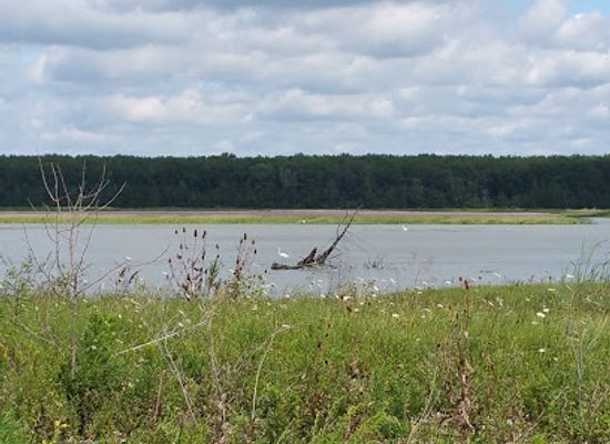 ohio/western-reserve/attraction/big-island-wildlife-area