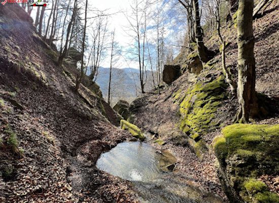 romania/gorj/attraction/cascada-firizoni