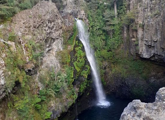 chile/nuble-region/attraction/jungla-de-peumayen