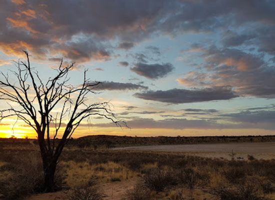 south-africa/kgalagadi-transfrontier-park/attraction/bitterpan-wilderness-camp