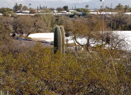 arizona/tucson/attraction/lincoln-regional-park