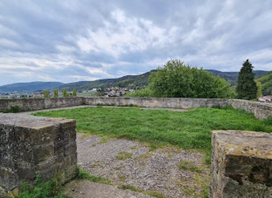 germany/palatinate/attraction/alte-burg
