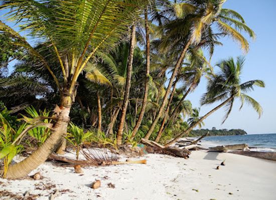 equatorial-guinea/rio-muni/attraction/corisco