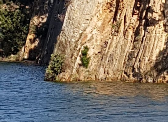 australia/mornington-peninsula/attraction/devilbend-natural-features-reserve
