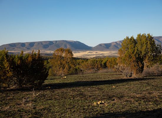 new-mexico/rio-grande-valley/attraction/fort-stanton-snowy-river-cave-national-conservation-area