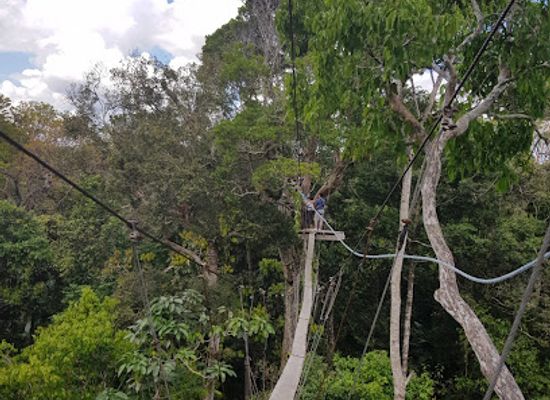 colombia/leticia/attraction/reserva-natural-omagua