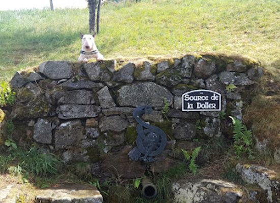 france/vosges-mountains/attraction/source-de-la-doller