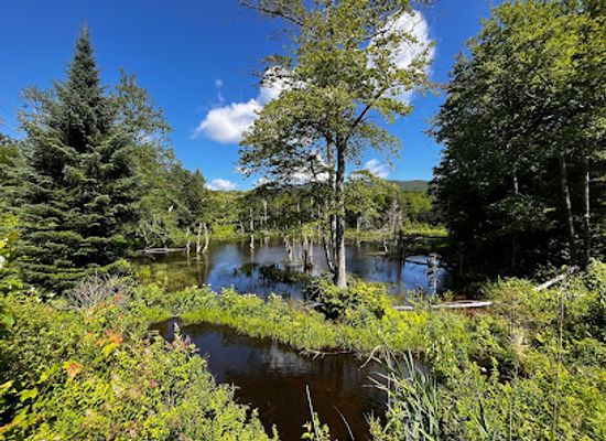 canada/eastern-townships/attraction/reserve-naturelle-des-montagnes-vertes-secteur-singer