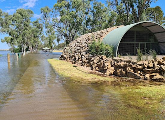 australia/riverland/attraction/murray-bridge-bunyip